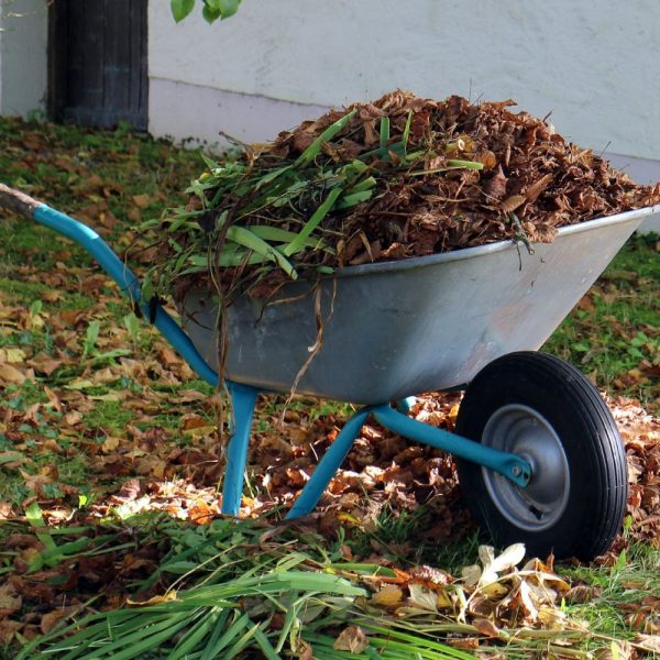 Proper-Disposal-of-Wastes-from-Garden