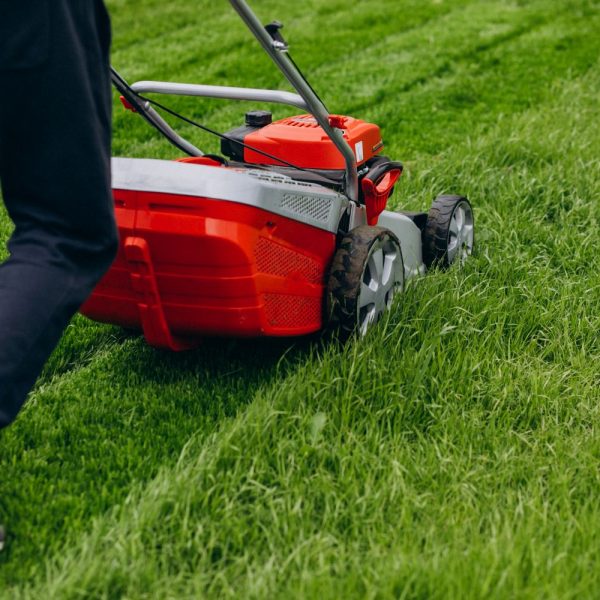 Rasenmäher schneidet frisches grünes Gras im Garten