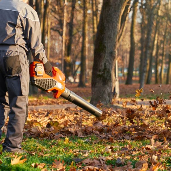 Arbeiter entfernt Laub mit einem Laubbläser im Park